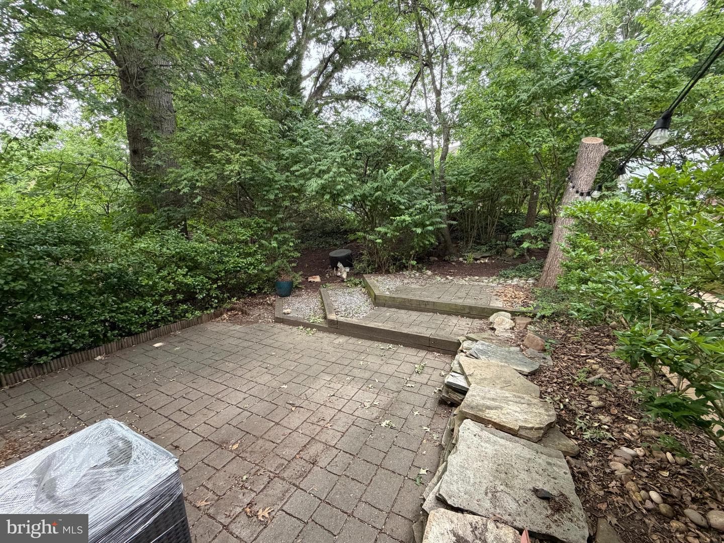 1410 Martha Custis Drive photo 5