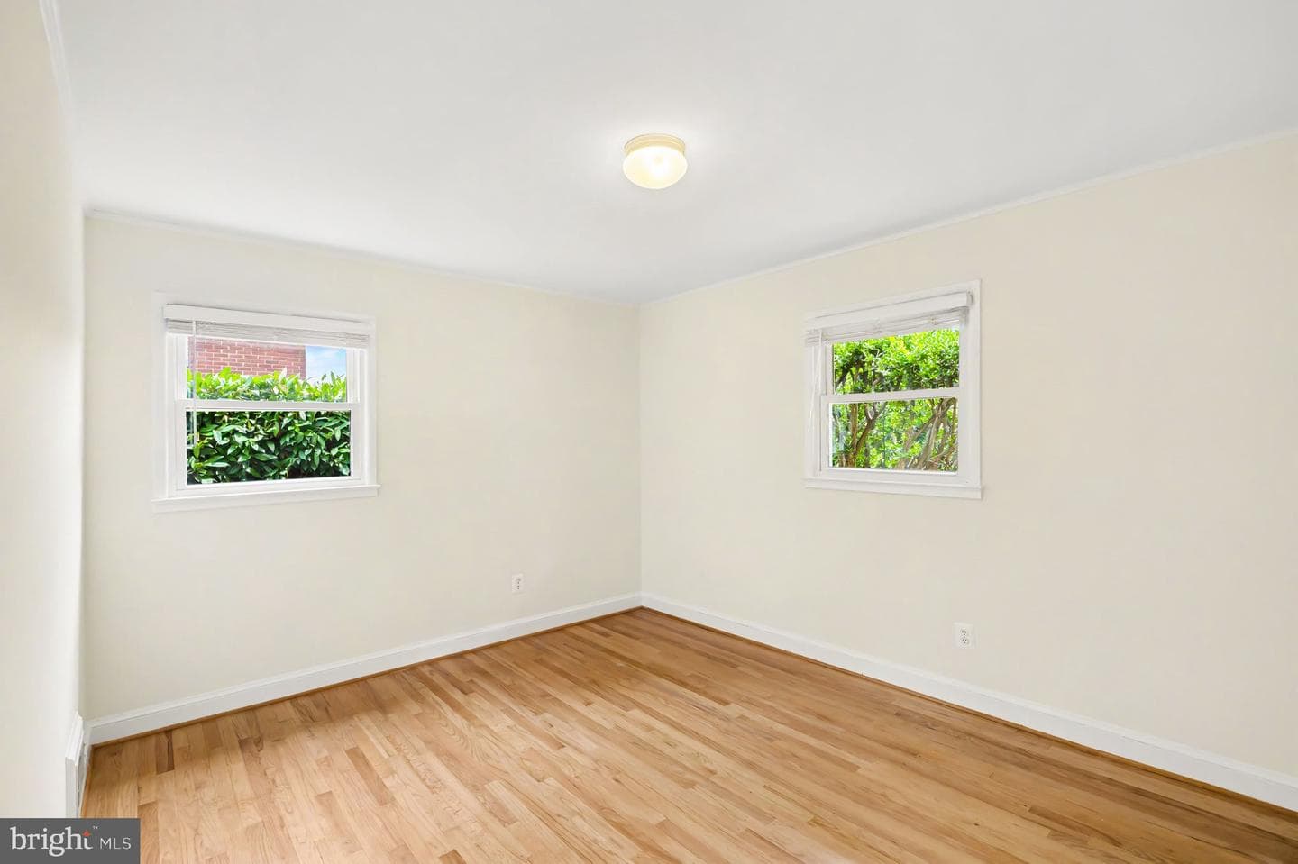 6157 N Morgan Street photo 13