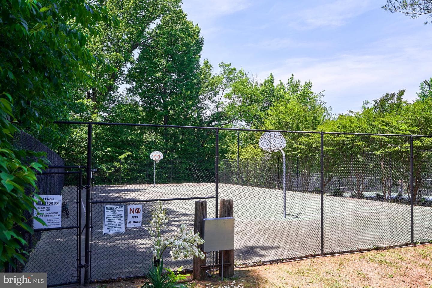 3430 Martha Custis Drive photo 25