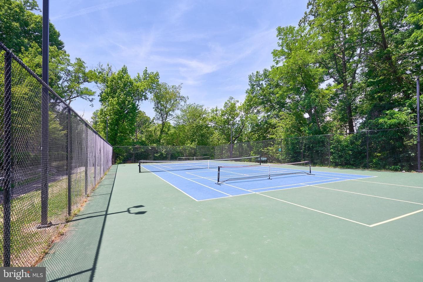 3430 Martha Custis Drive photo 28