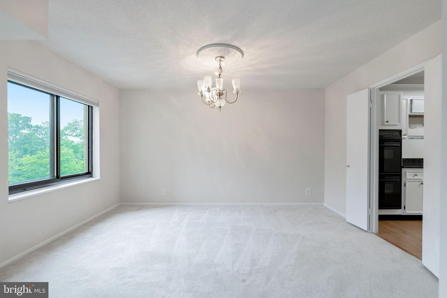 307 Yoakum Parkway #512 photo 14