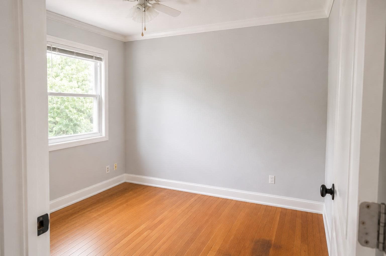 1725 Cameron Street photo 14