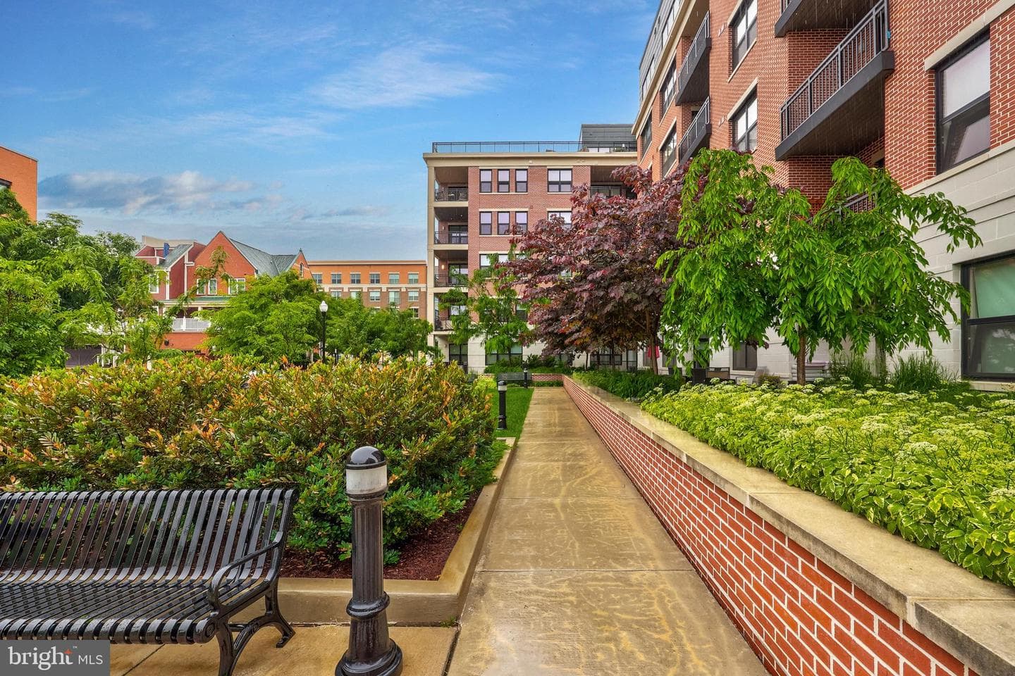 701 Swann Avenue #511 photo 45