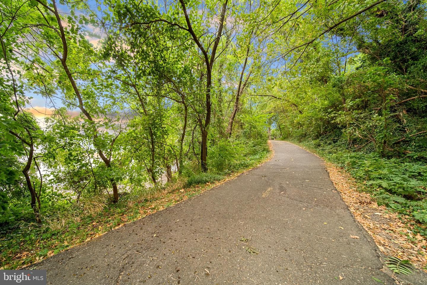 501 Slaters Lane #1001 photo 53