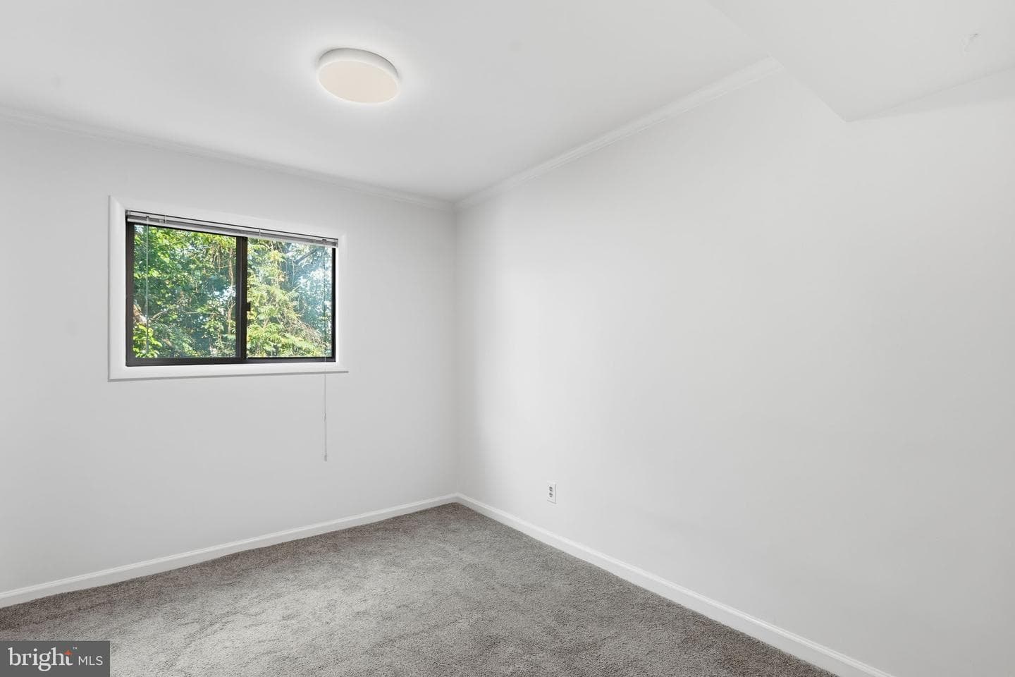 55 Skyhill Road #202 photo 15