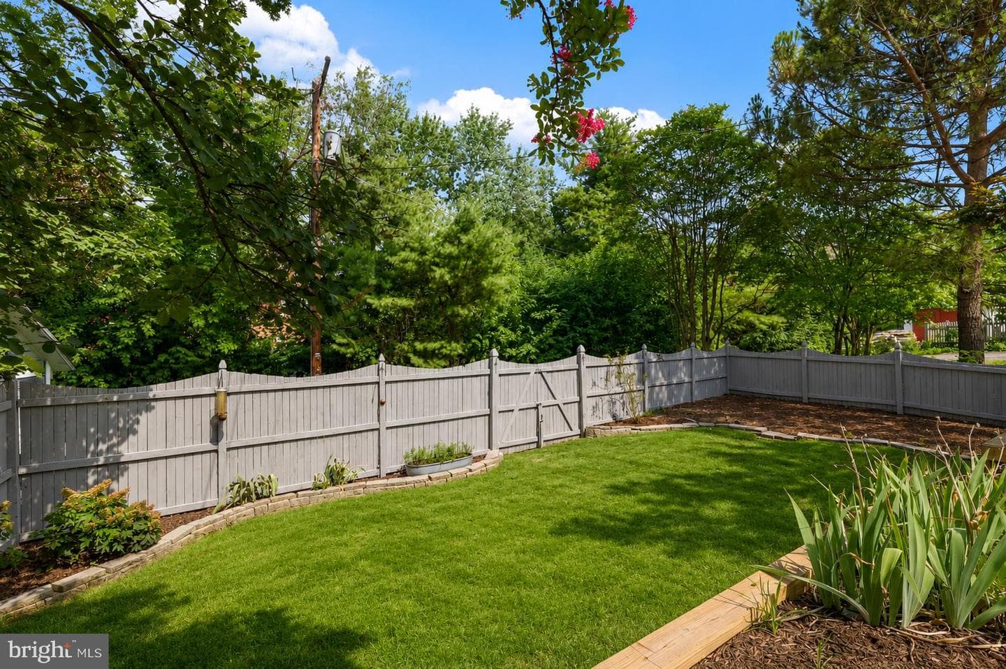605 Johnston Place photo 49