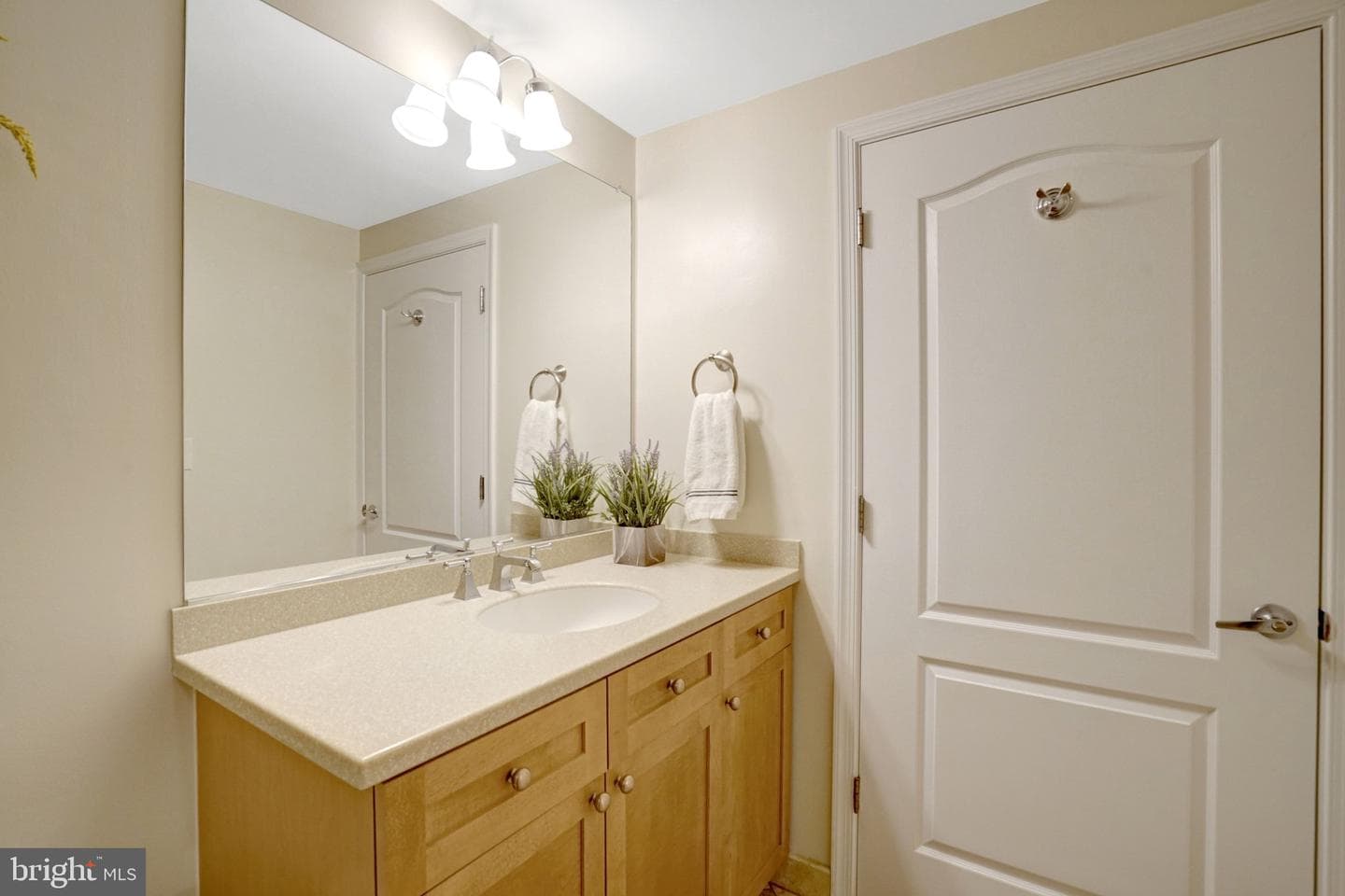 1115 Cameron Street #117 photo 39
