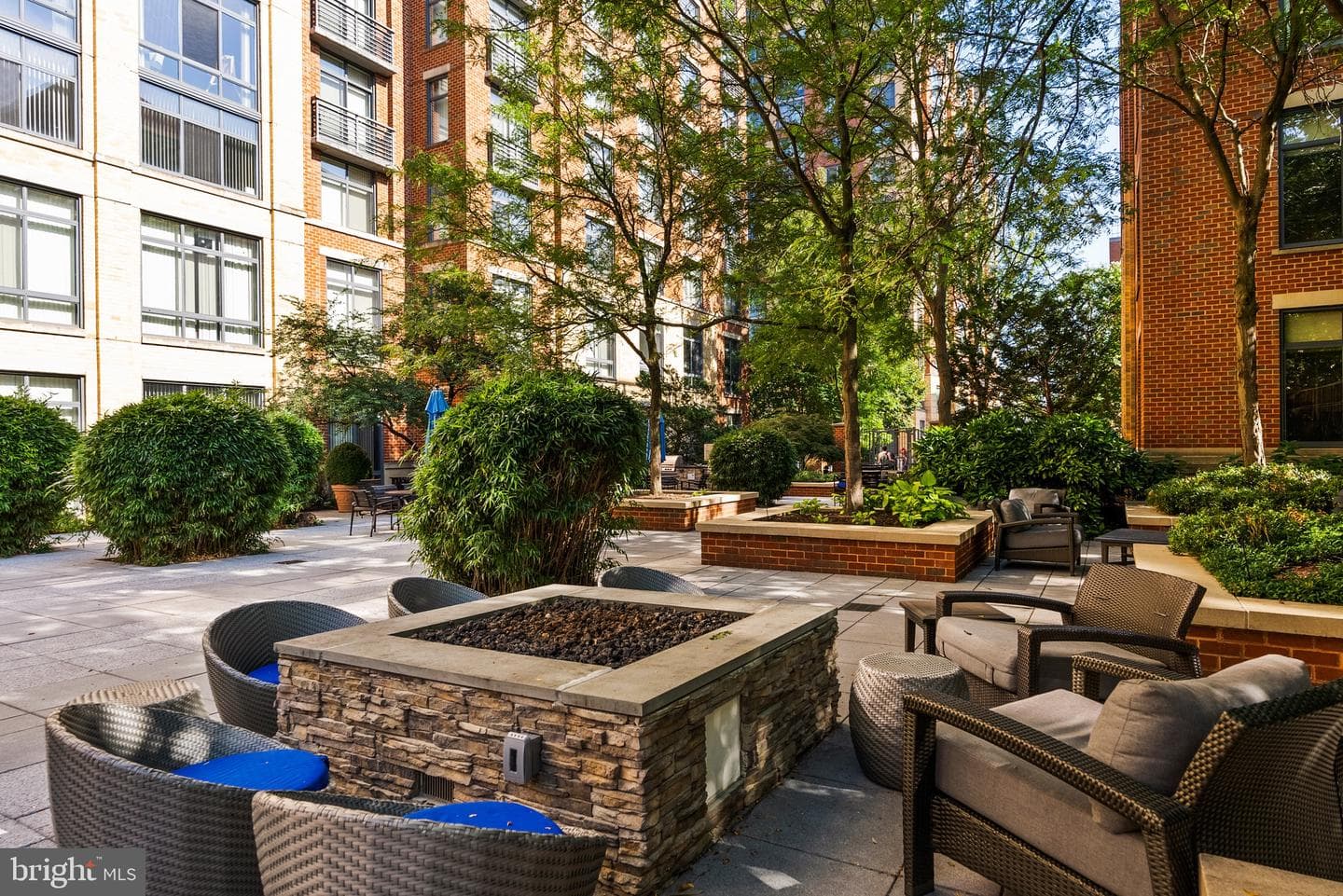 520 John Carlyle Street #107 photo 40