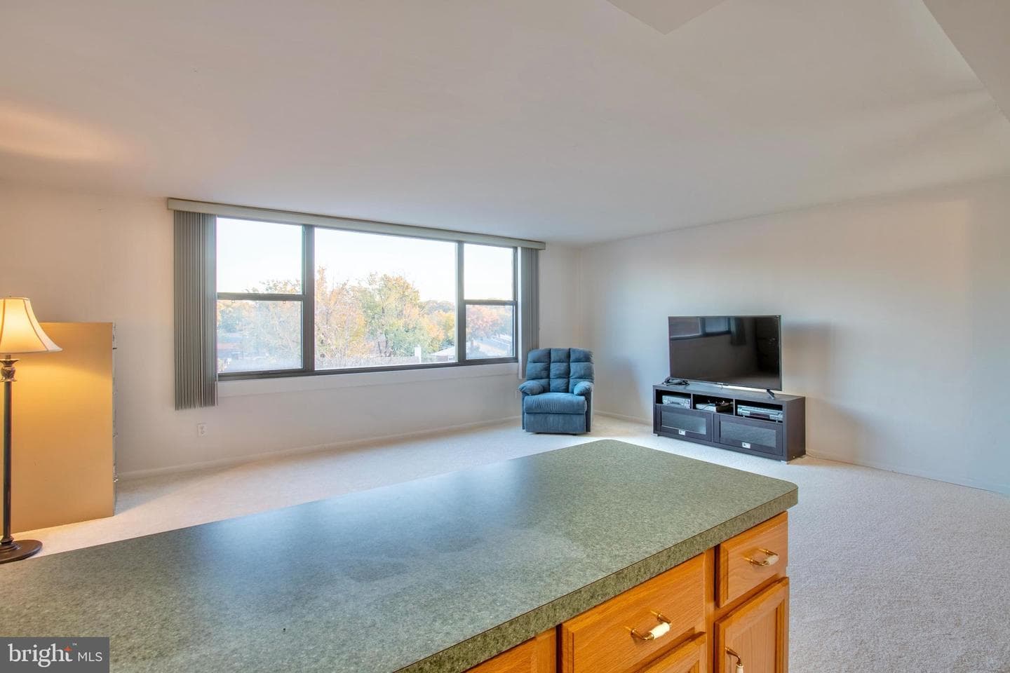 4600 Duke Street #408 photo 7