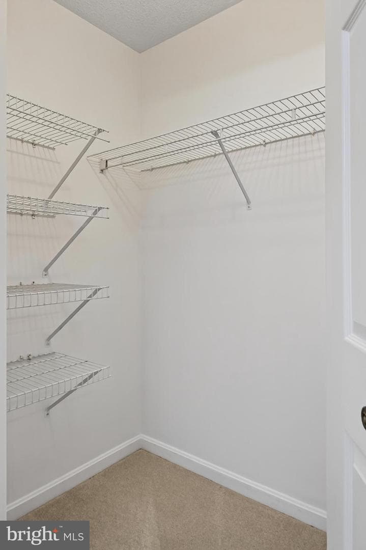 2181 Jamieson Avenue #1502 photo 31