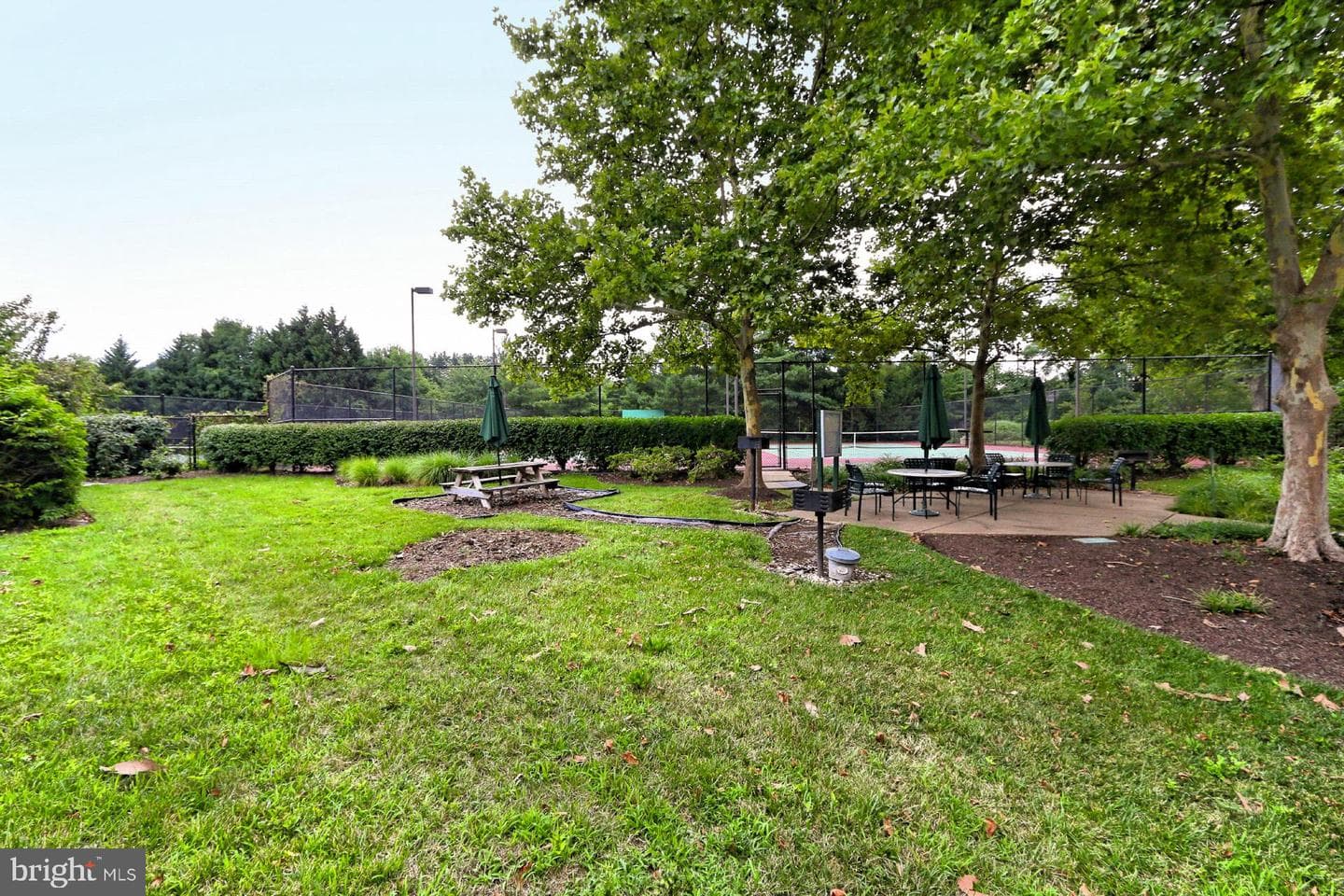 2181 Jamieson Avenue #1502 photo 62