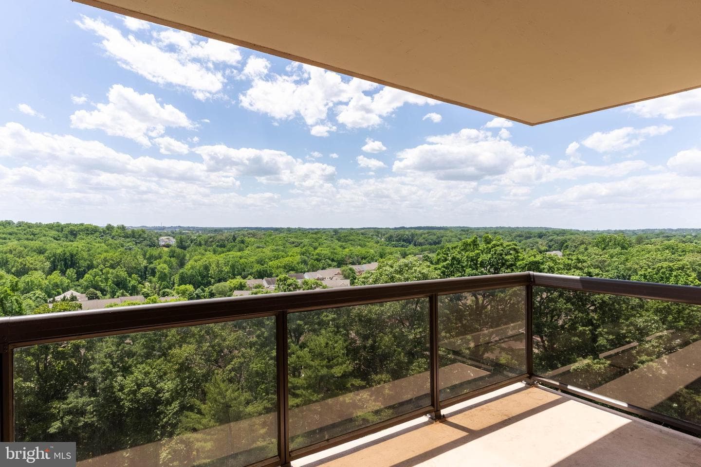 307 Yoakum Parkway #1104, Alexandria
