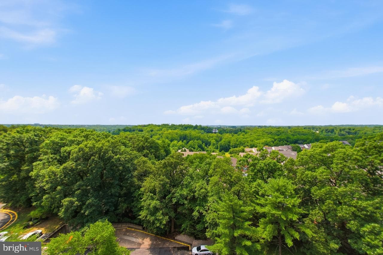 307 Yoakum Parkway #1104 photo 10