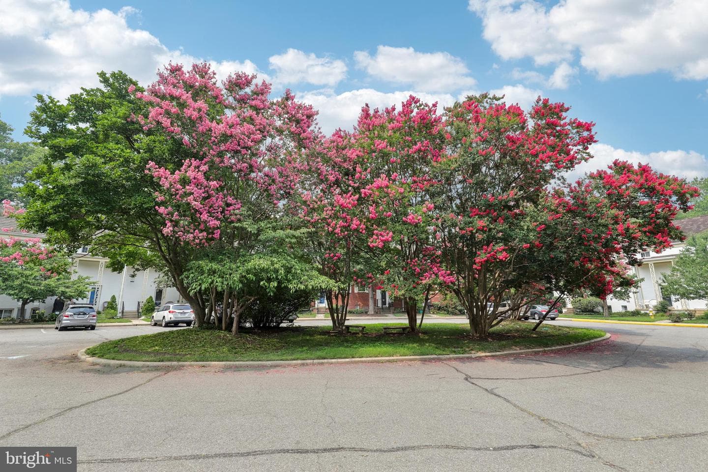 1622 Ripon Place photo 26