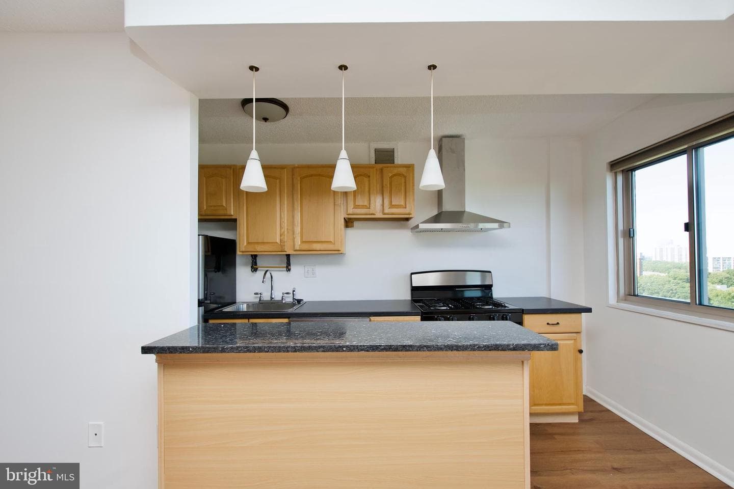 2500 N Van Dorn Street #1211 photo 10