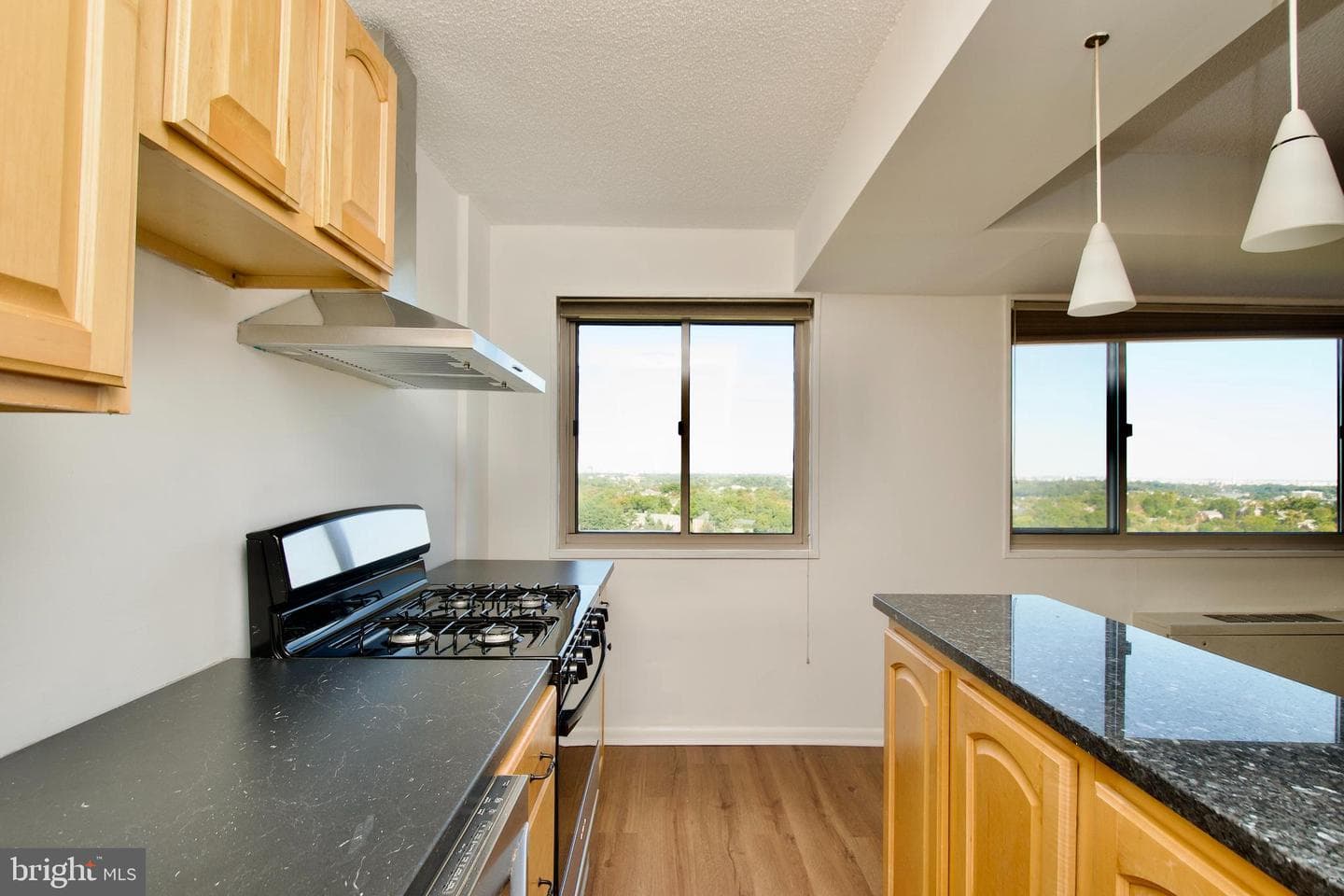 2500 N Van Dorn Street #1211 photo 14