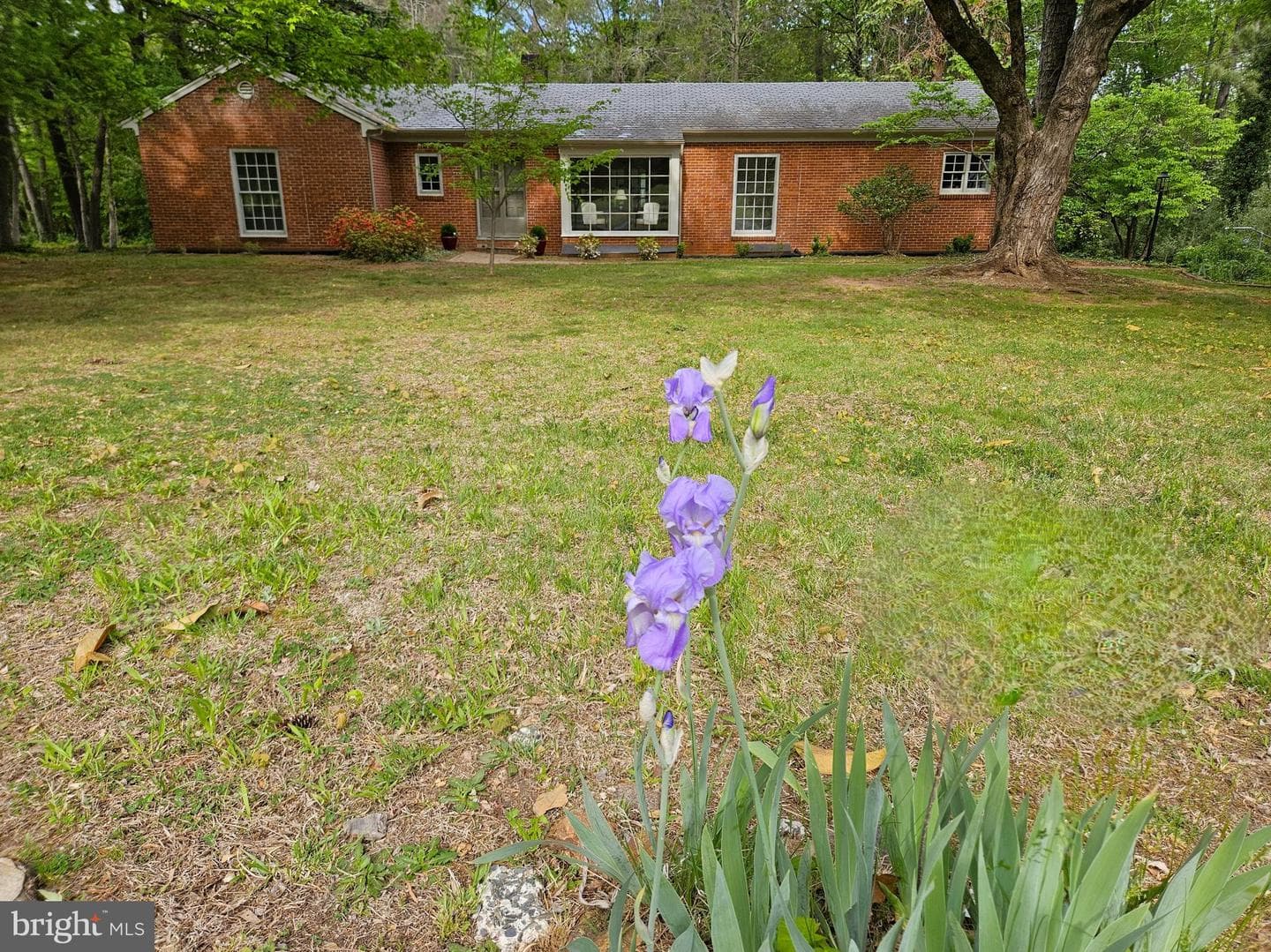 3271 Rosney Road, Dillwyn