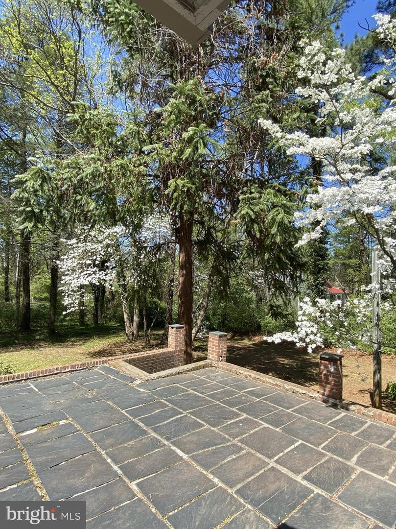 3271 Rosney Road photo 36
