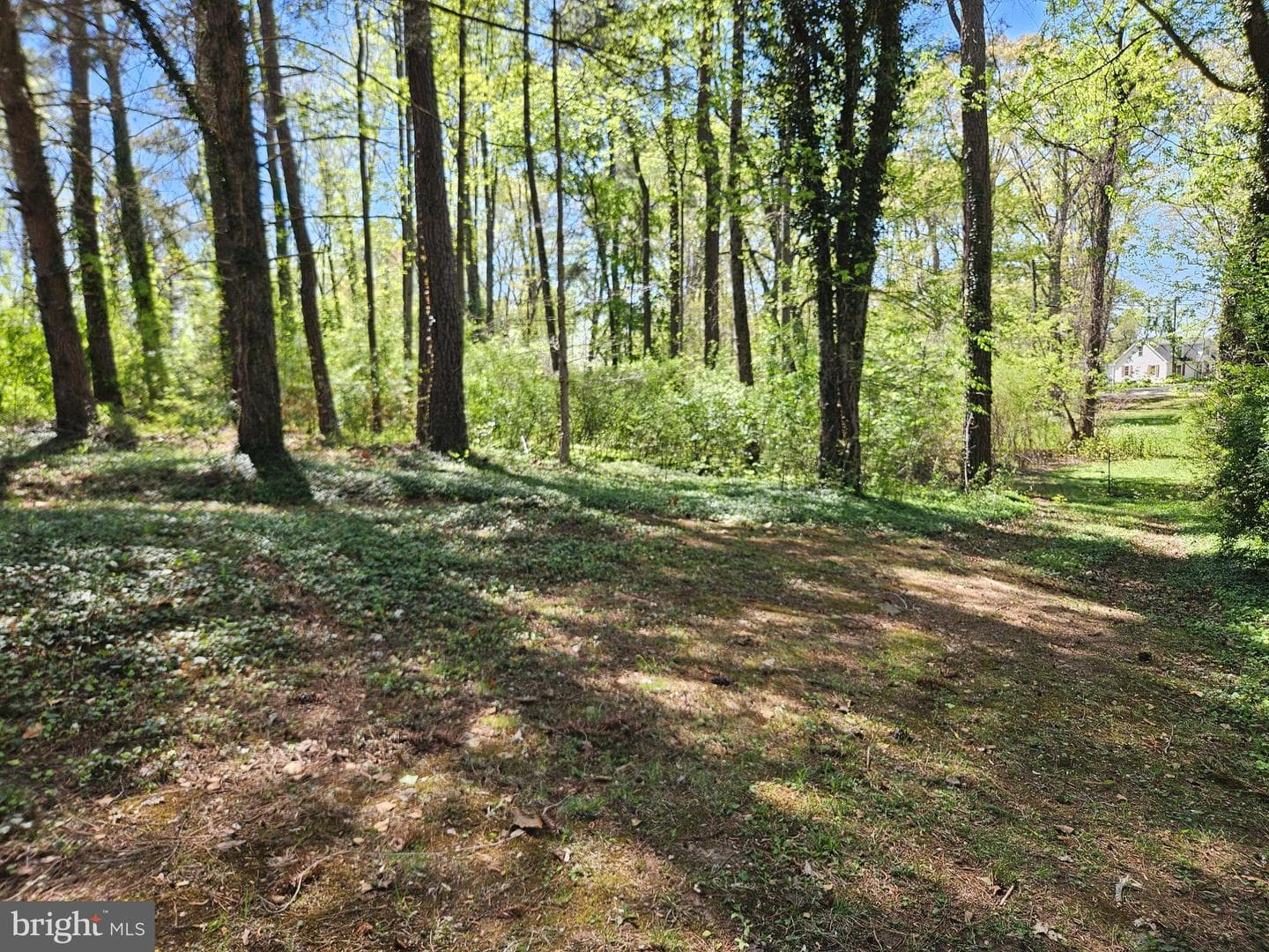 3271 Rosney Road photo 38