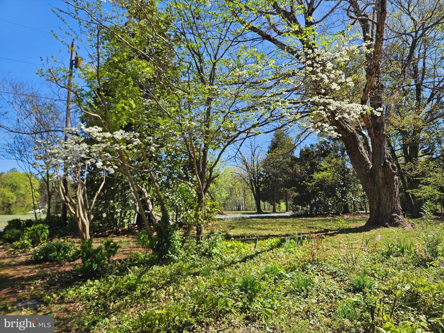 3271 Rosney Road photo 39