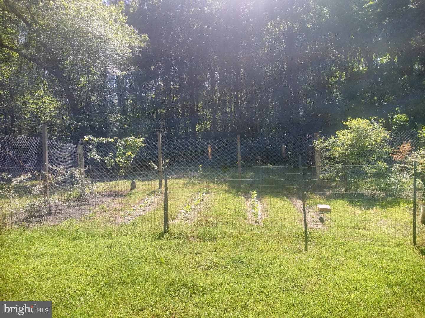 316 Coles Creek Lane photo 28