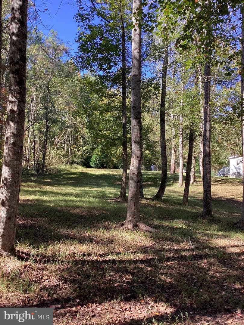 316 Coles Creek Lane photo 29