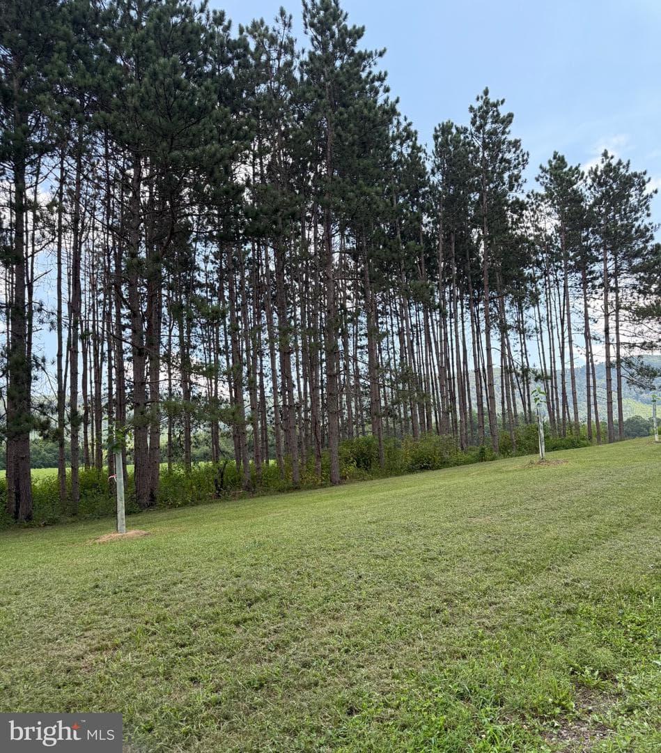 33940 Mountain Valley Road photo 14
