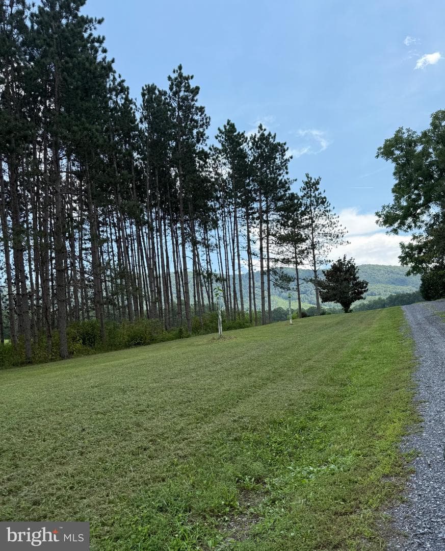 33940 Mountain Valley Road photo 5