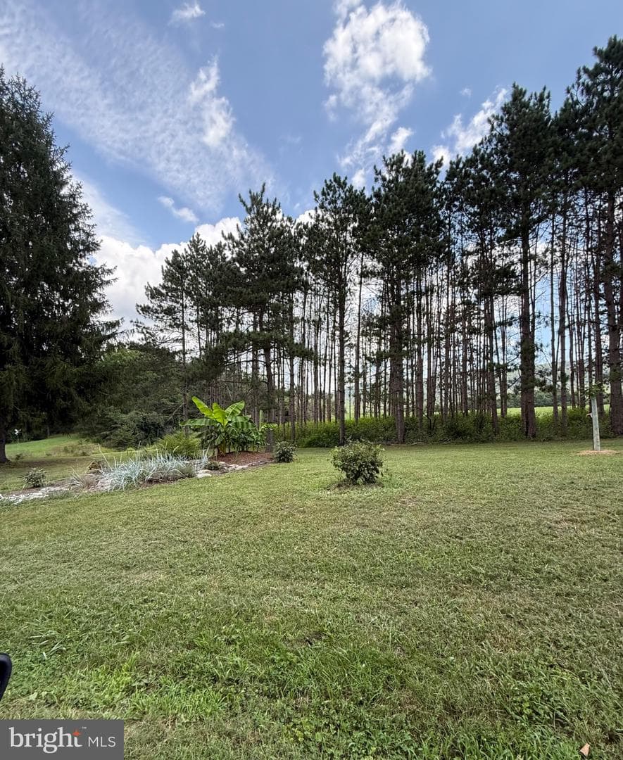 33940 Mountain Valley Road photo 6