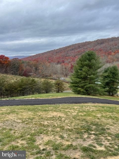 65 Cyprus Rd. photo 40