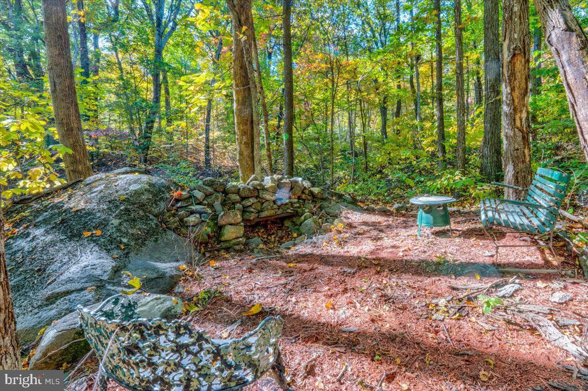 1017 Karnes Road photo 45