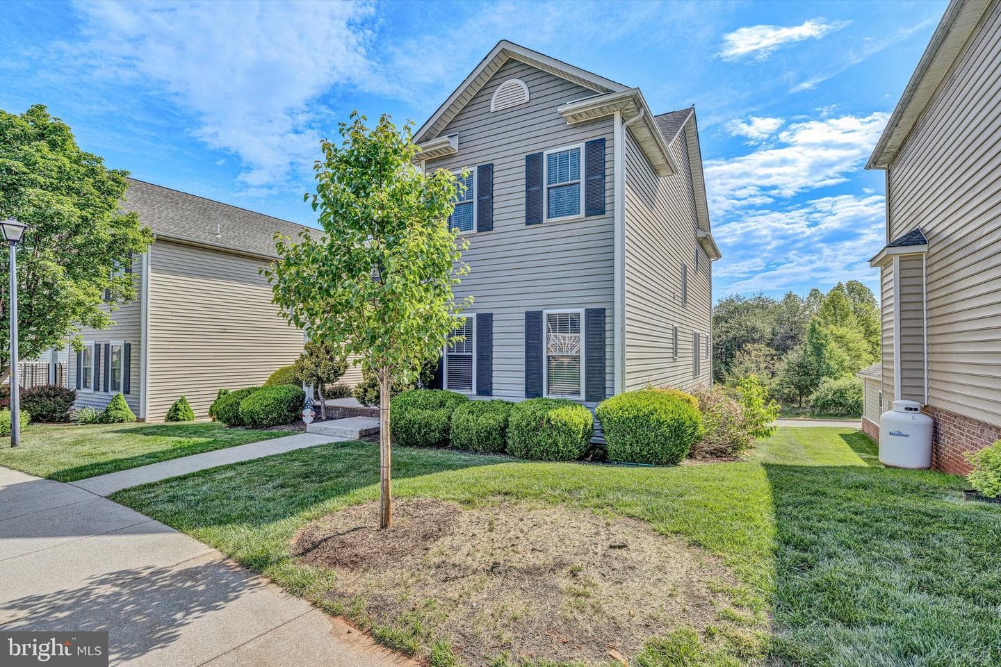 1145 Cranberry Court photo 3