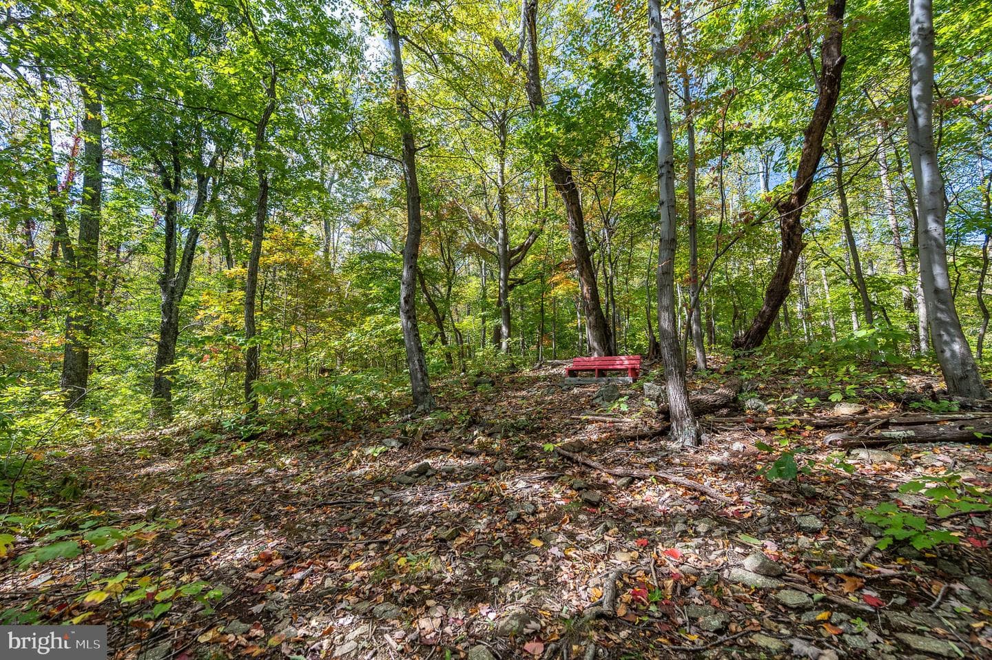 1795 Karnes Road photo 48