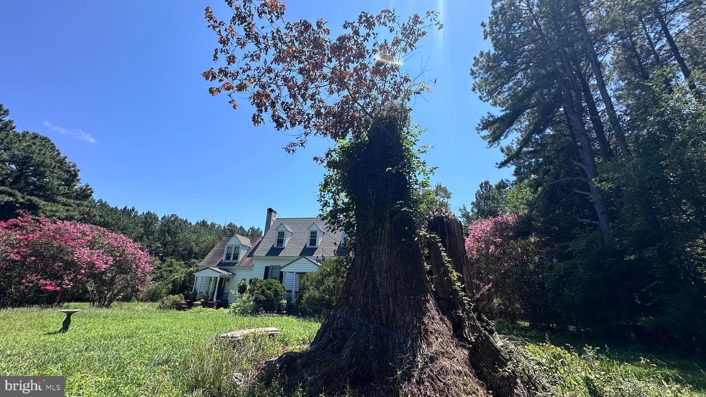 2788 Great Oak Road photo 14