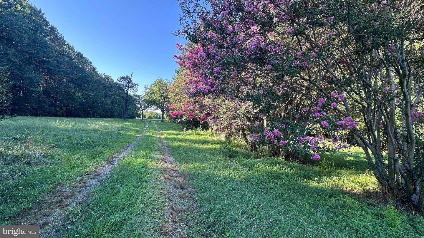 2788 Great Oak Road photo 77