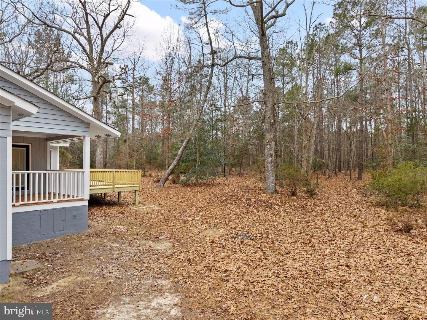 10009 River Road photo 46
