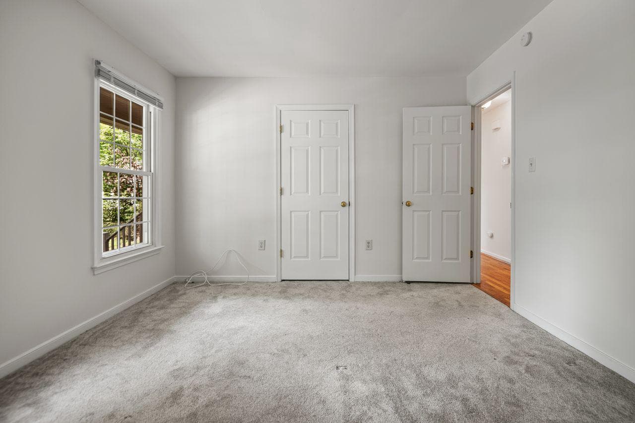 14202 Branched Antler Place photo 22