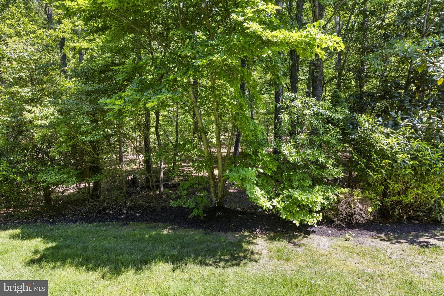 4413 Wilcot Drive photo 55