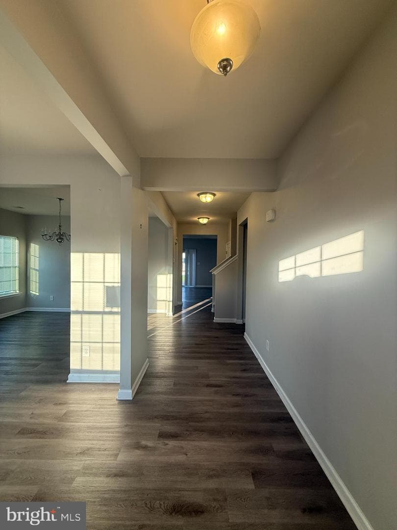 7301 Hamner Terrace photo 4