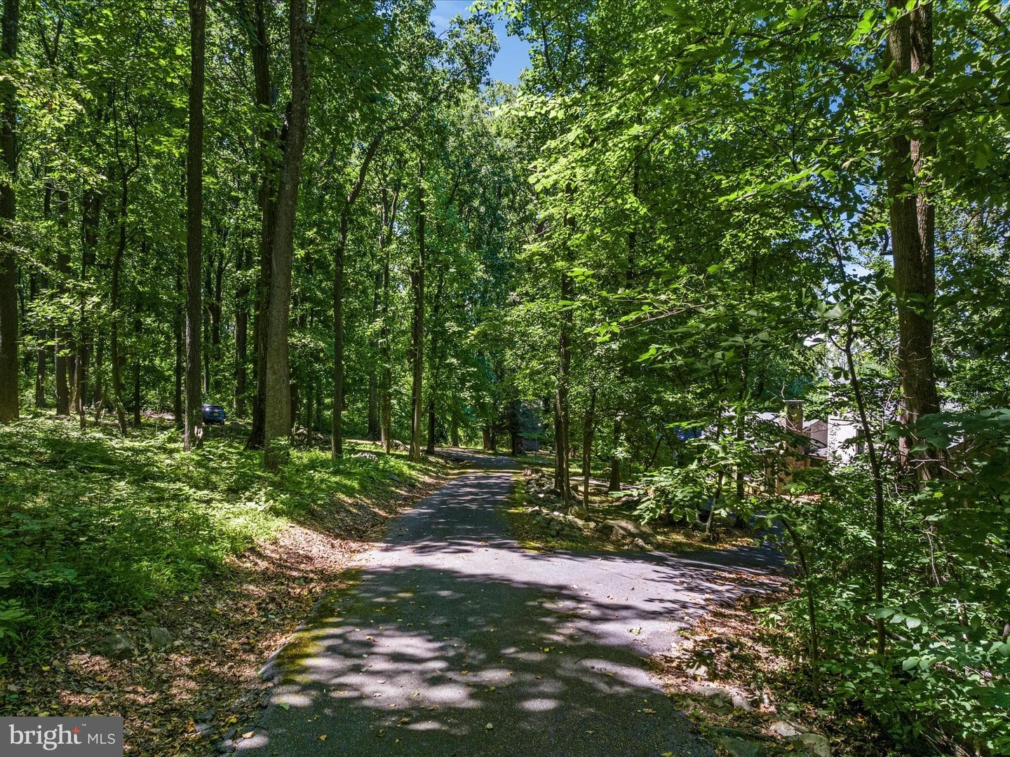 19421 Blue Ridge Mtn Road photo 60