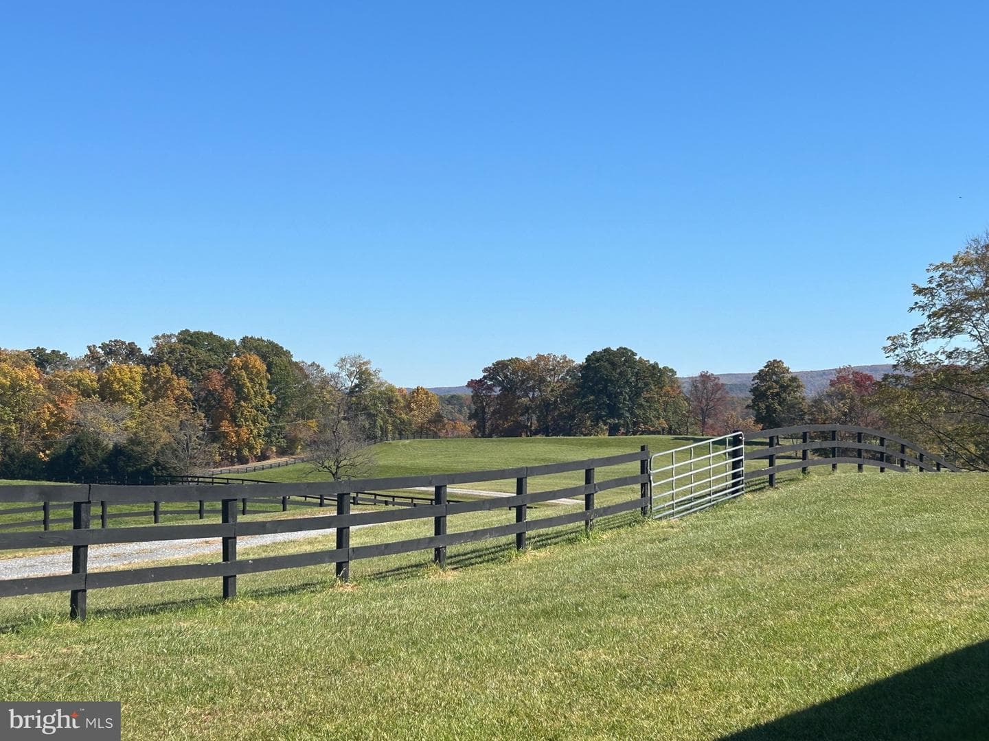 1600 Briggs Road photo 32