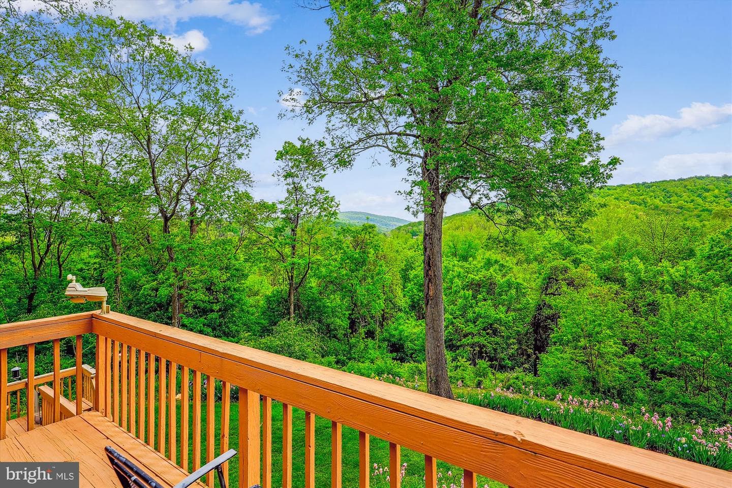 245 River House Lane photo 42