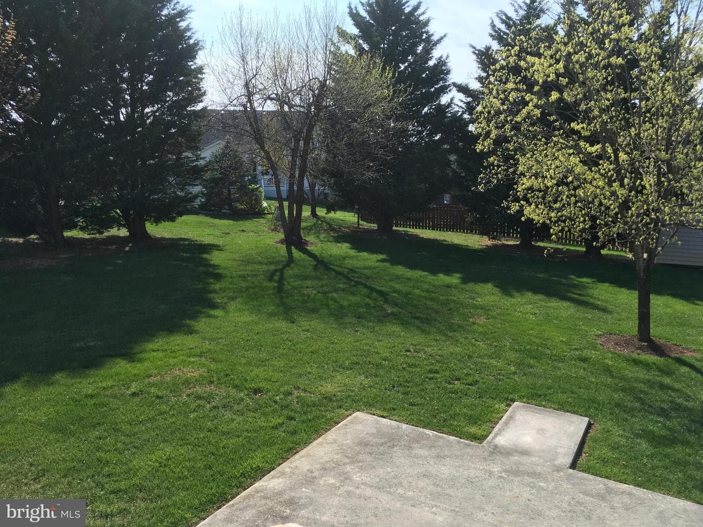 405 Custer Court photo 4