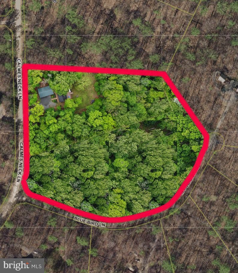 2834 Calmes Neck Lane photo 49