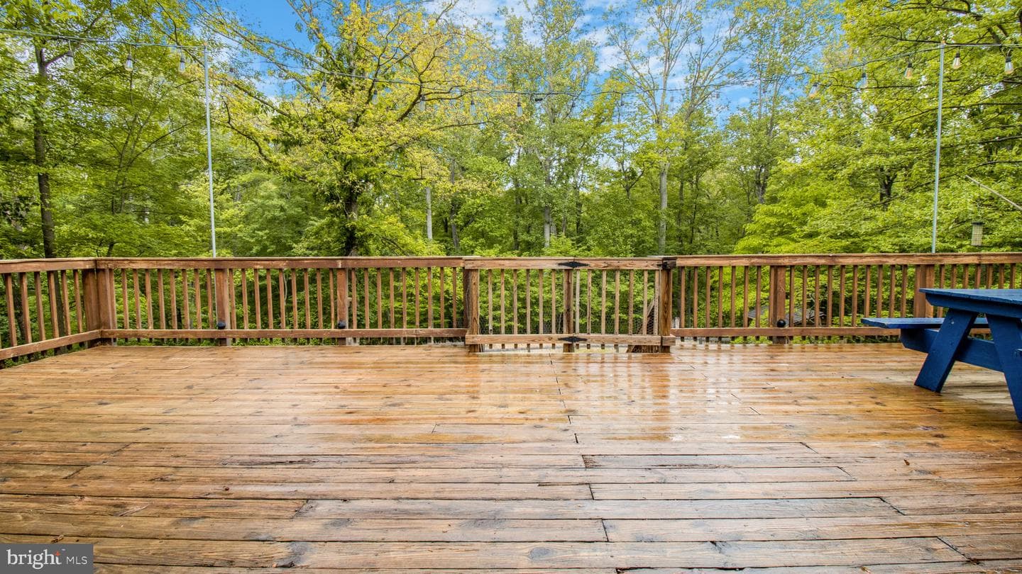 2834 Calmes Neck Lane photo 8