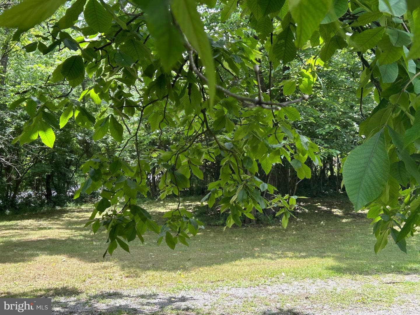 513 Russell Road photo 29