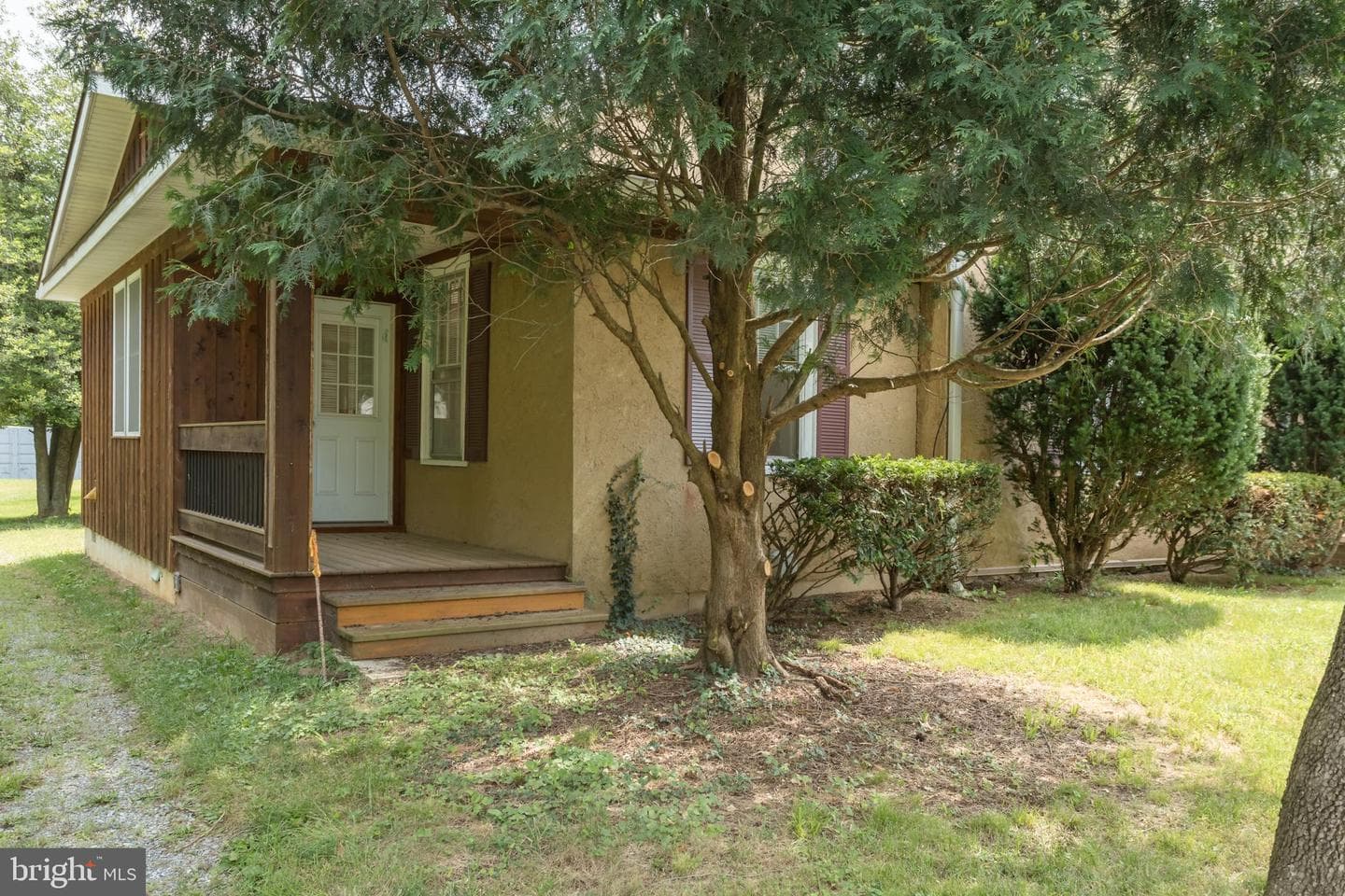 218 Treadwell Street photo 7
