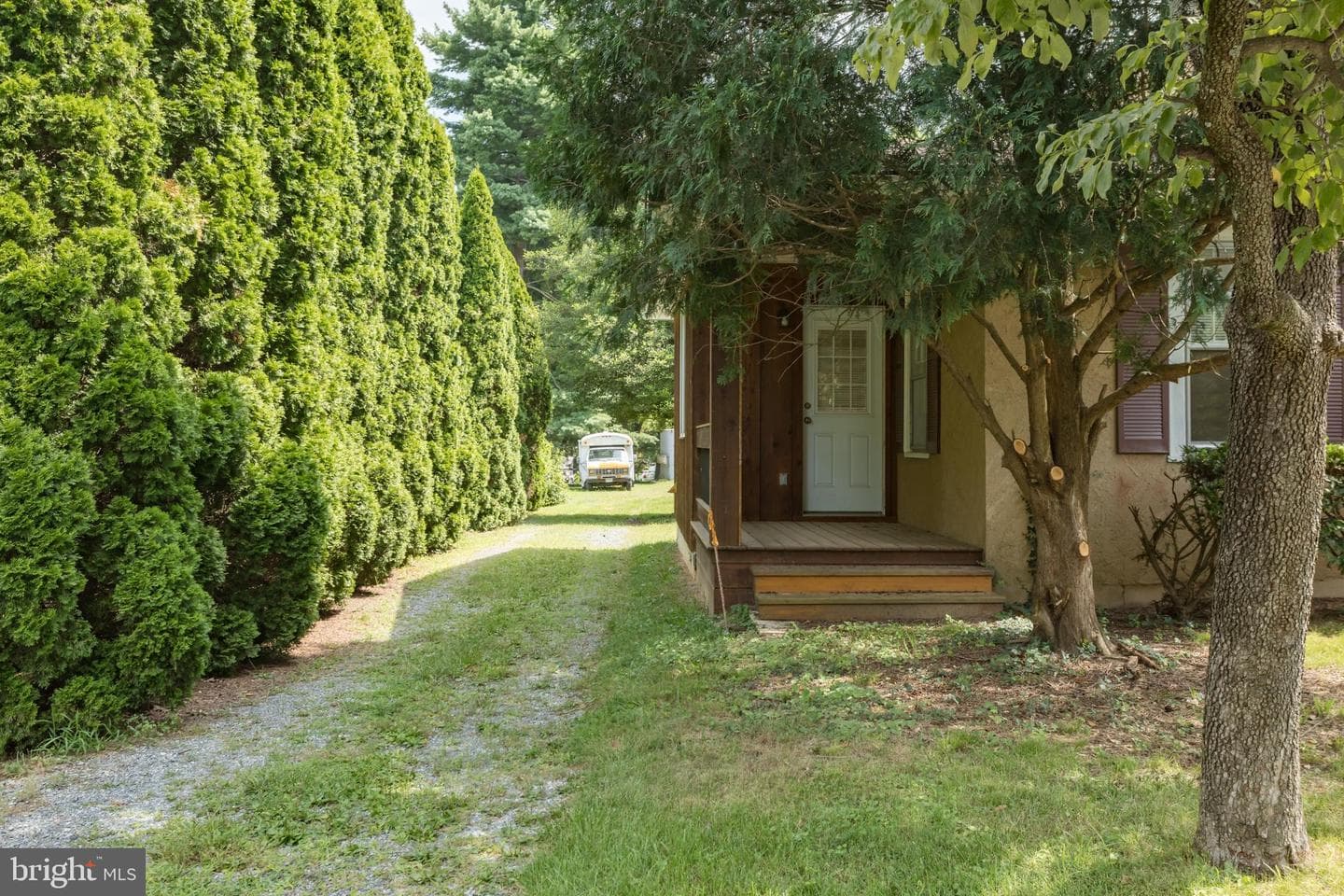 218 Treadwell Street photo 9