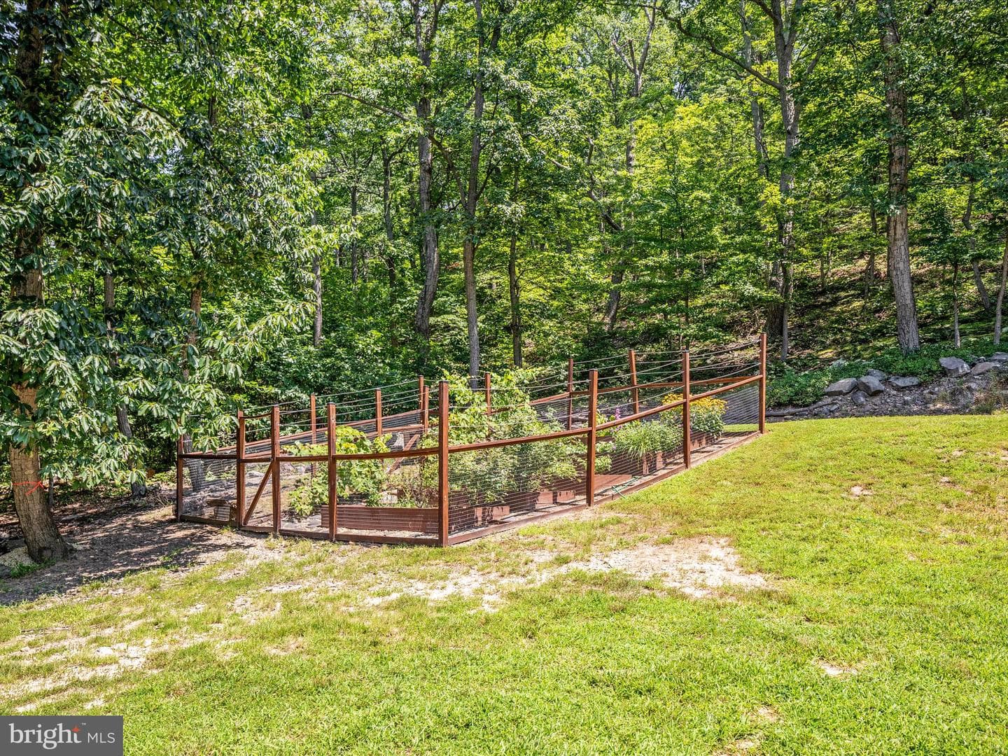 4327 Ebenezer Road photo 4