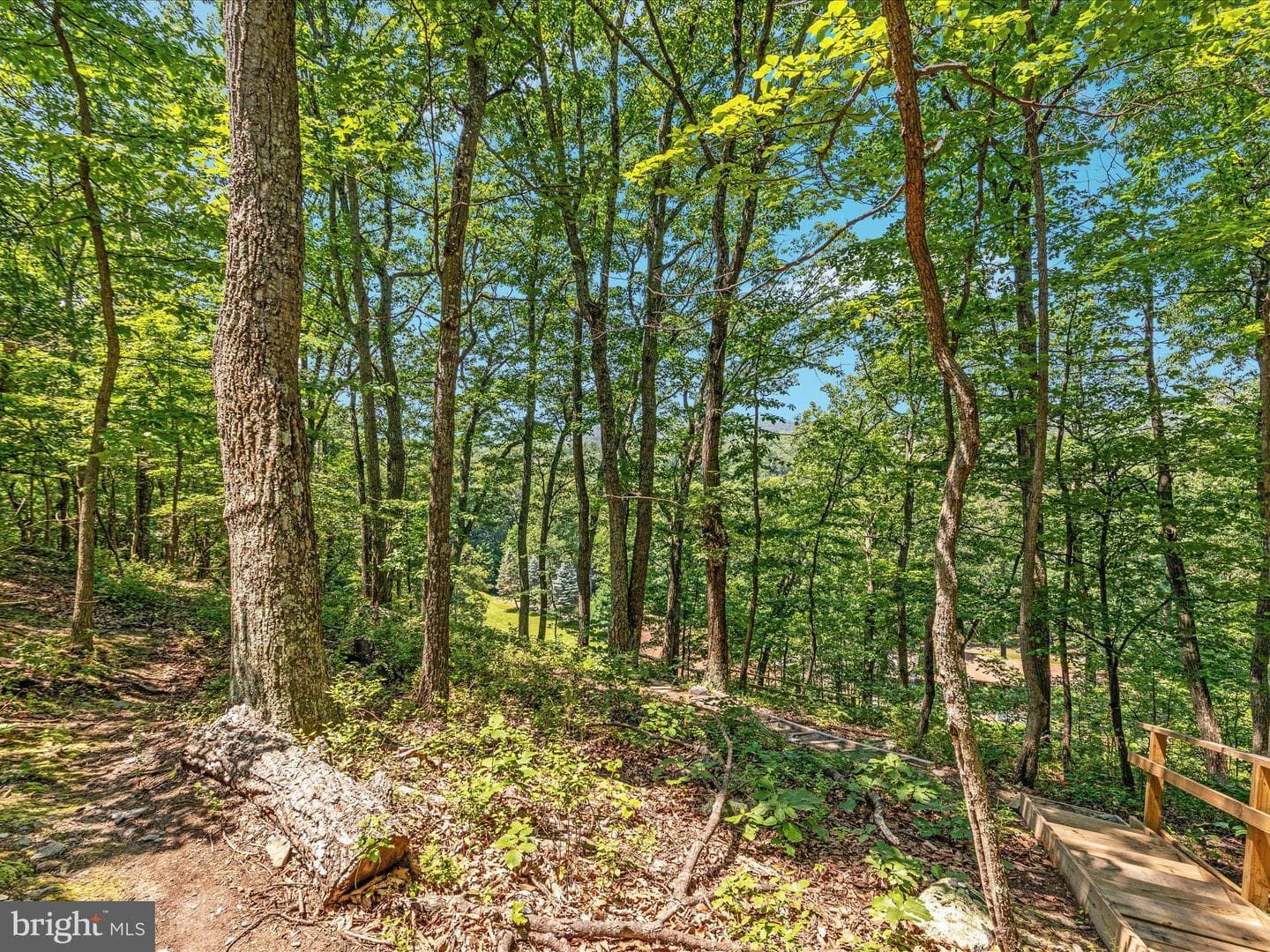 4327 Ebenezer Road photo 46